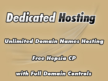 Cut-price dedicated servers service